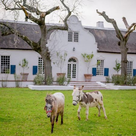 San Gabriel Homestead Somerset West Bagian luar foto