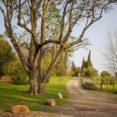 San Gabriel Homestead Somerset West Bagian luar foto