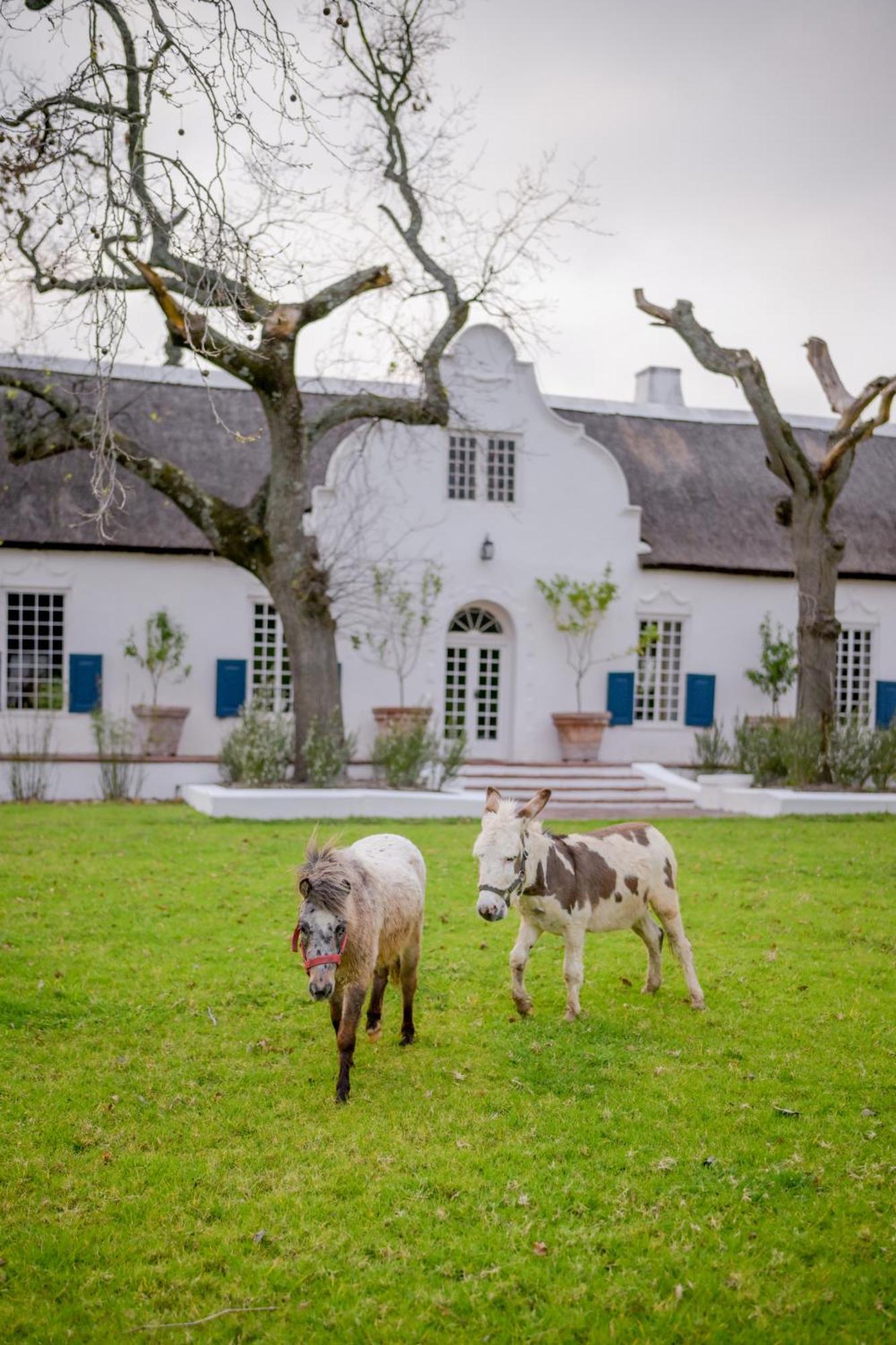 San Gabriel Homestead Somerset West Bagian luar foto