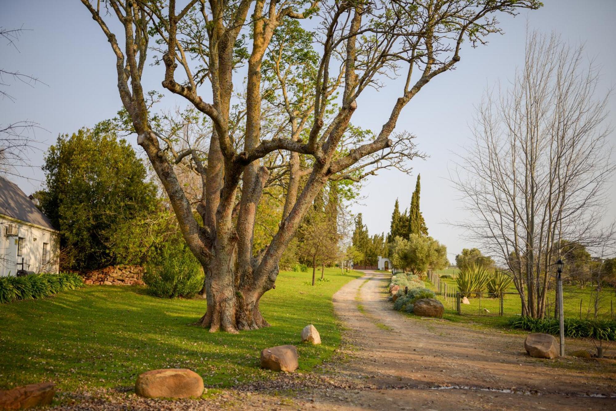 San Gabriel Homestead Somerset West Bagian luar foto